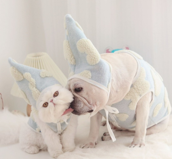Cloud (สำหรับน้องหมาน้องเเมว) - Image 2