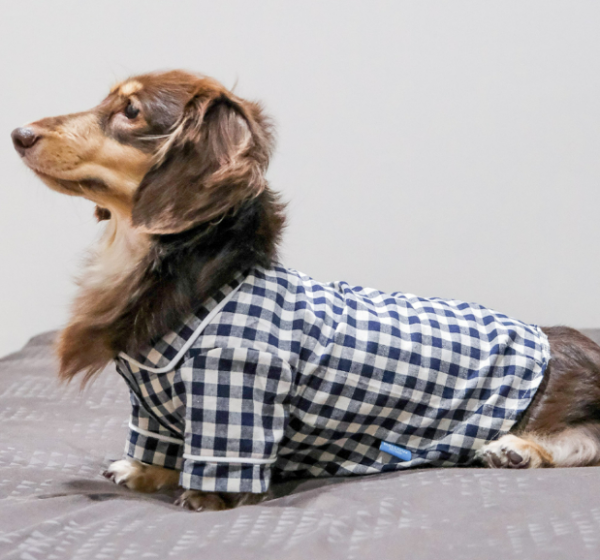 WALNUT PAJAMAS BLUE (เสื้อผ้าสำหรับน้องหมาน้องเเมว) - Image 3