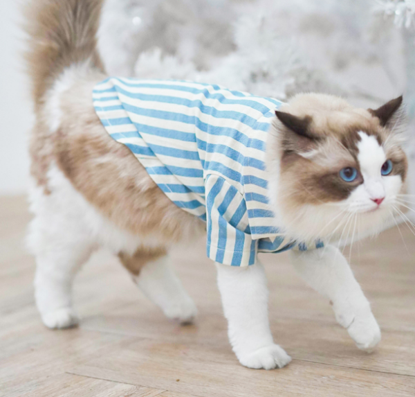 SKY PAJAMAS (เสื้อสำหรับน้องหมาน้องเเมว) - Image 2