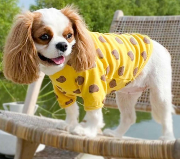 BEAR YELLOW ( เสื้อน้องหมาน้องเเมว ) - Image 3
