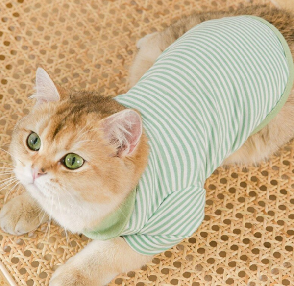ชุดแมว น่ารัก Striped Knitted T-Shirt เสื้อยืดแขนสั้นแมว สีสดใส เสื้อผ้าแมว - Image 3