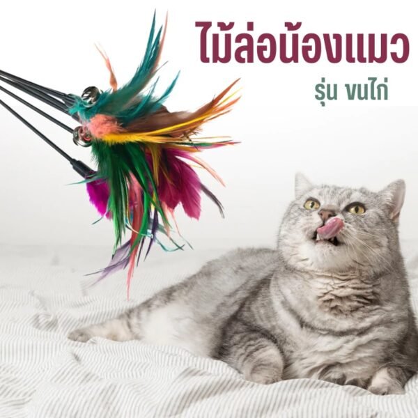 ไม้ล่อน้องแมว รุ่น ขนไก่มีเสียงกระดิ่ง คละสี